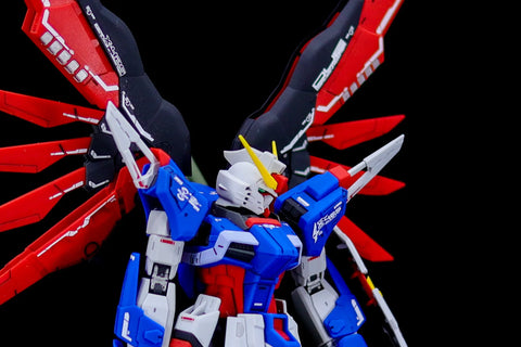 Delpi Water Decal (ดิแคลน้ำ) RG Destiny Gundam Delpi Decal
