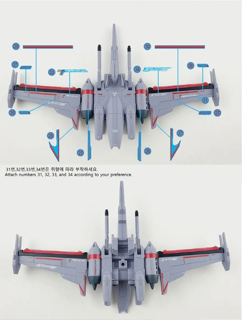 Delpi Decal (ดีคอลน้ำ) HG Seed Z’Gok Delpi Decal