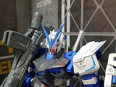 Delpi Water Decal (ดิแคลน้ำ) PG Astray Blue Frame Gundam Delpi Decal