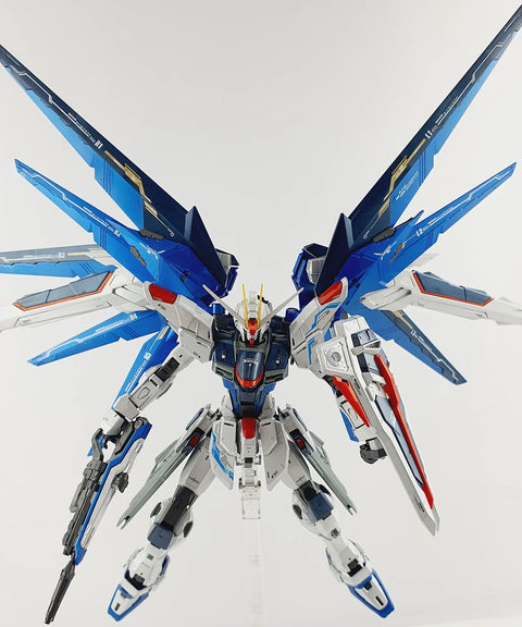 Delpi Water Decal (ดิแคลน้ำ) MG Freedom 2.0 Gundam Delpi Decal