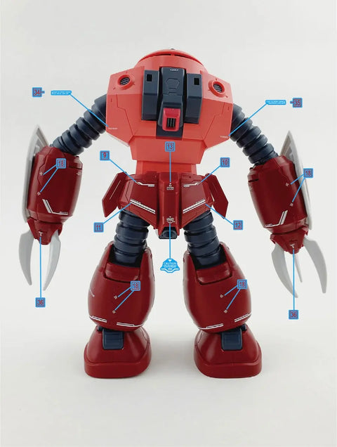 Delpi Decal (ดีคอลน้ำ) HG Seed Z’Gok Delpi Decal