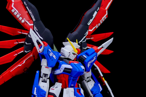 Delpi Water Decal (ดิแคลน้ำ) RG Destiny Gundam