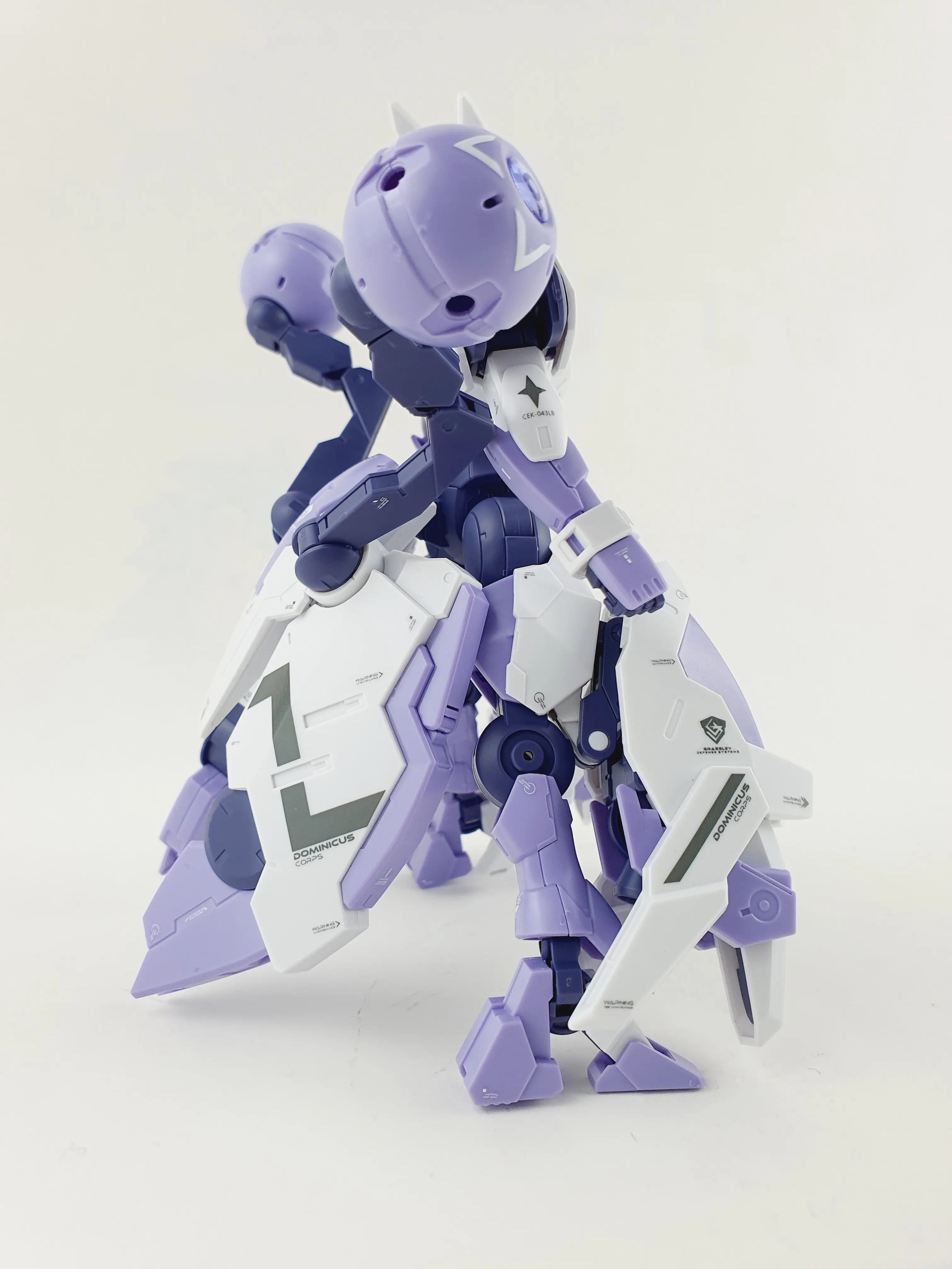 Delpi Decal (ดีคอลน้ำ) HG Beguir-Beu Torche Delpi Decal
