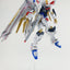 Delpi Water Decal (ดิแคลน้ำ) HG Mighty Strike Freedom Gundam