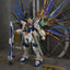 Delpi Water Decal (ดิแคลน้ำ) RG Strike Freedom Gundam