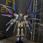 Delpi Water Decal (ดิแคลน้ำ) RG Strike Freedom Gundam