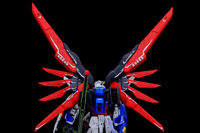 Delpi Water Decal (ดิแคลน้ำ) RG Destiny Gundam Delpi Decal