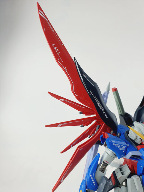 Delpi Water Decal (ดิแคลน้ำ) MG Destiny Gundam