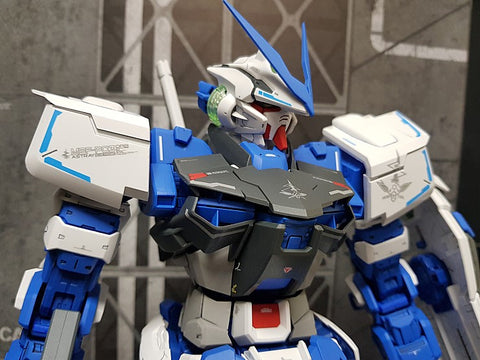 Delpi Water Decal (ดิแคลน้ำ) PG Astray Blue Frame Gundam