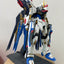 Delpi Water Decal (ดิแคลน้ำ) PG Strike Freedom Gundam