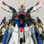 Delpi Water Decal (ดิแคลน้ำ) PG Strike Freedom Gundam