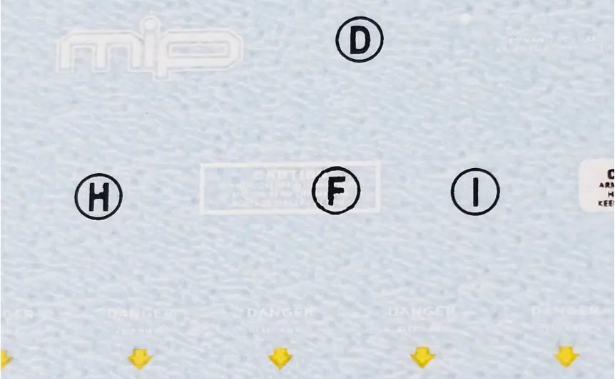 Delpi Water Decal (ดิแคลน้ำ) MG Gelgoog Mass Production Delpi Decal